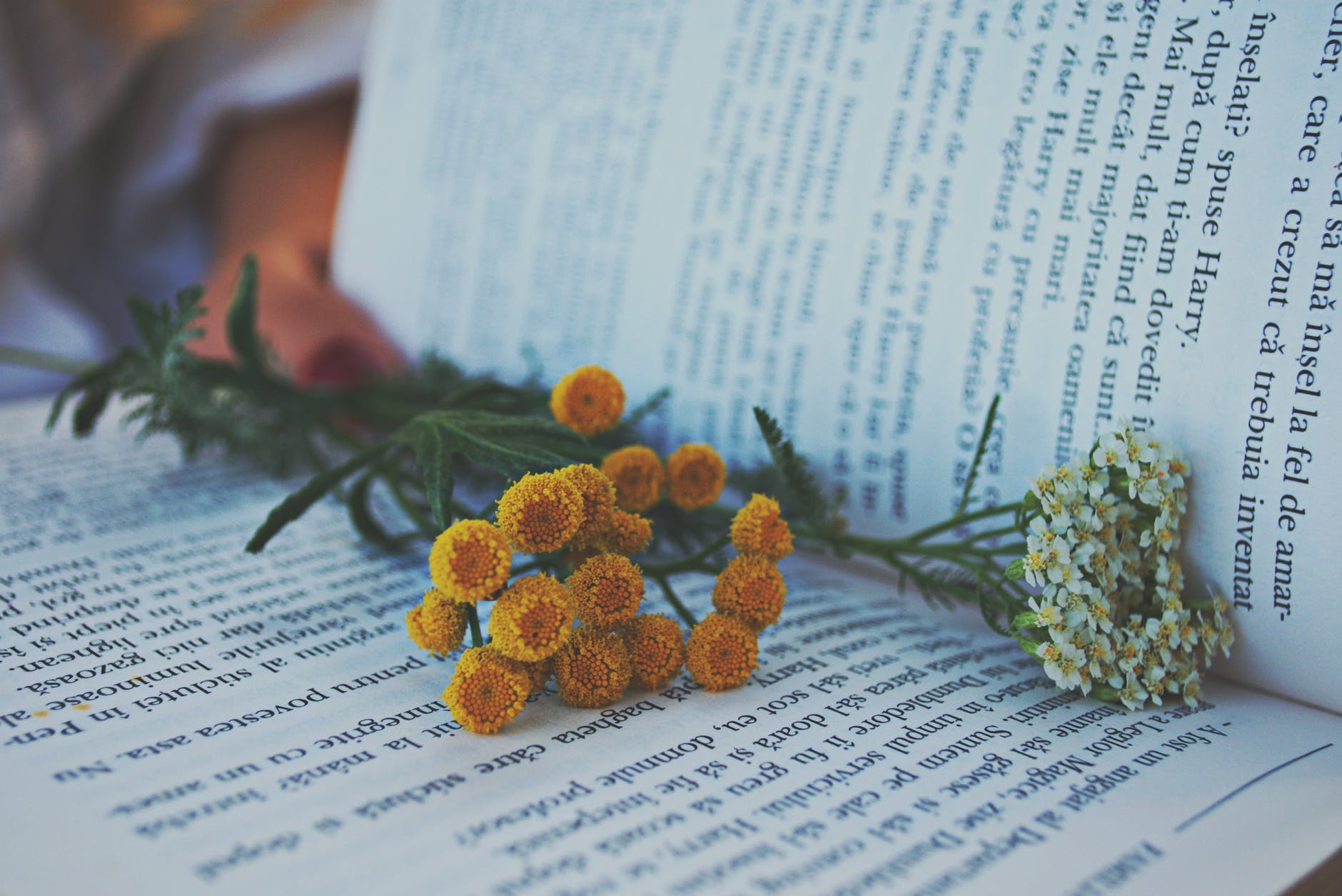 flowers on book