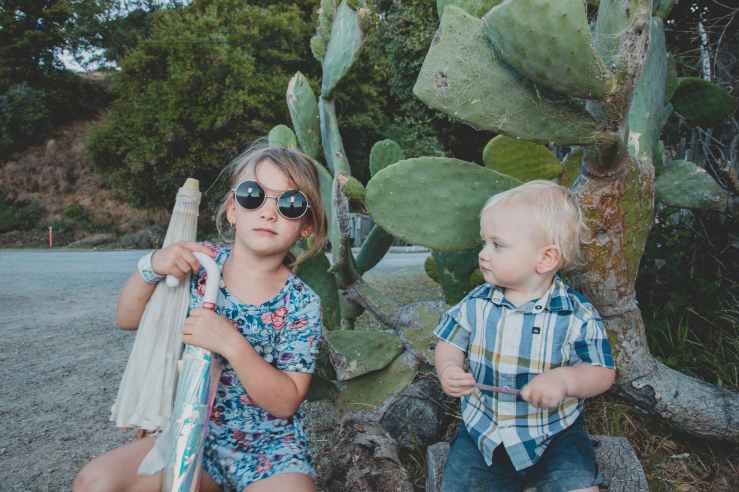 children sitting near a cactus plant